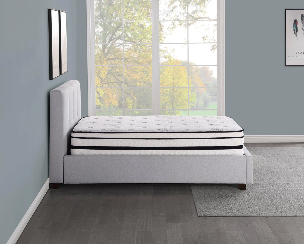 MT-PH12T 12" Twin Hybrid Mattress by Homelegance at Eve Furniture