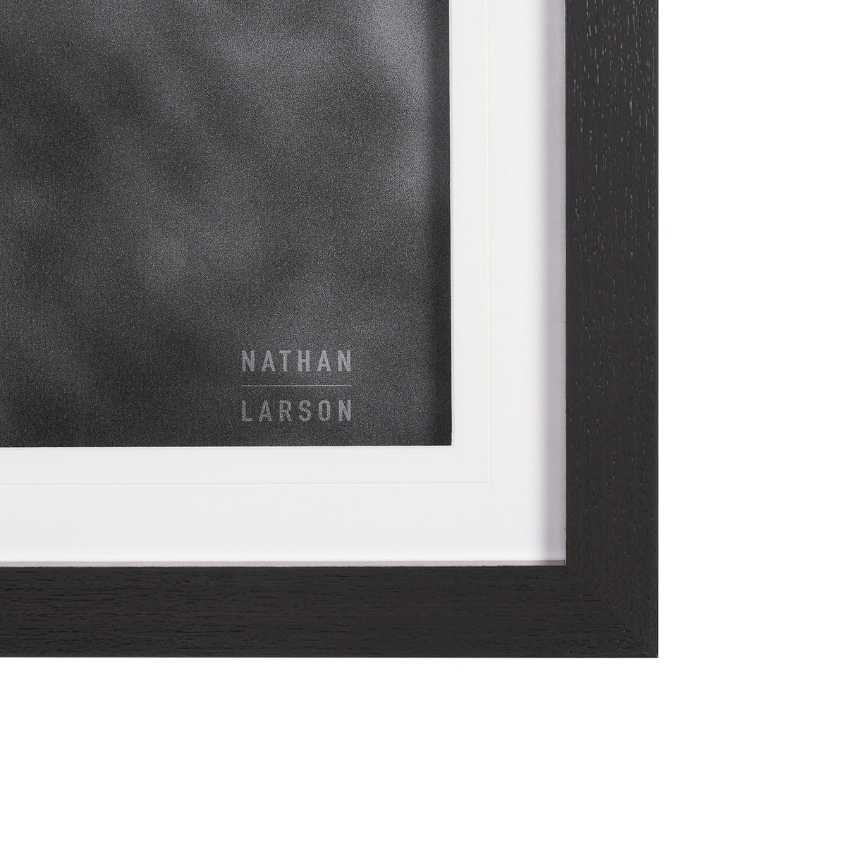 Mustang by Nathan Larson a Hand Embellished Framed Photo Art Print Matted under Glass by Mercana at Eve Furniture