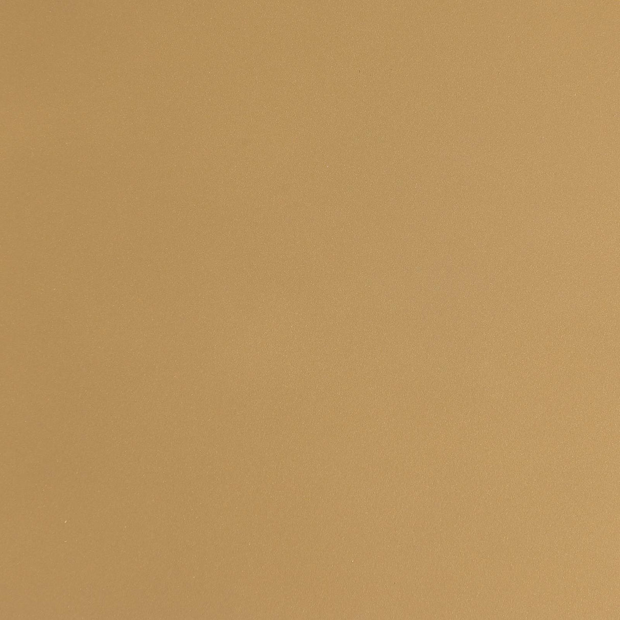 Nadia Beige/Gold Square Padded Seat Counter Height Stool, Set of 2 by Coaster at Eve Furniture