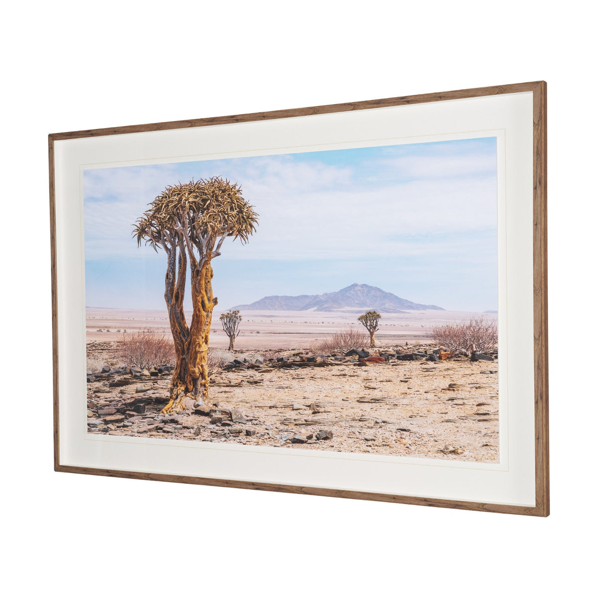 Namibia Tree in Desert by Richard Silver Textured Framed Photo Print Matted under Glass by Mercana at Eve Furniture