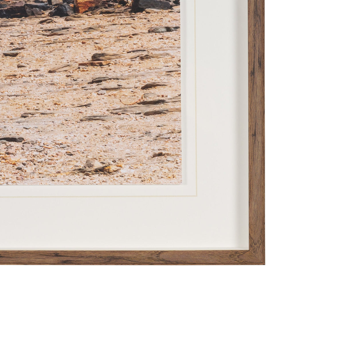Namibia Tree in Desert by Richard Silver Textured Framed Photo Print Matted under Glass by Mercana at Eve Furniture