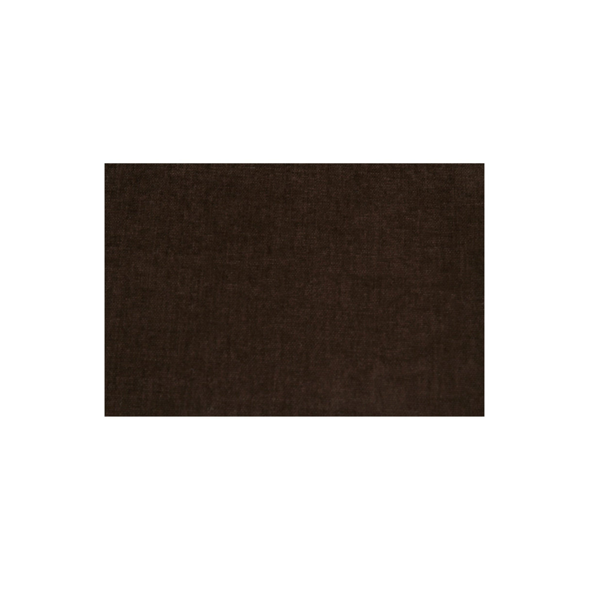 Naomi Dark Brown Convex Sofa by Moe's Home at Eve Furniture