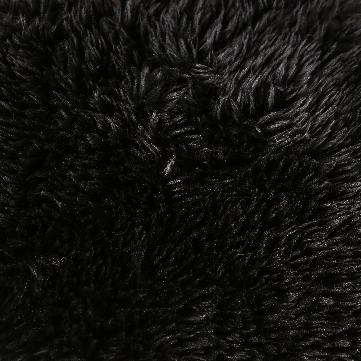 Nappi Black Compressed Foam L-Shape Sectional by Furniture of America at Eve Furniture