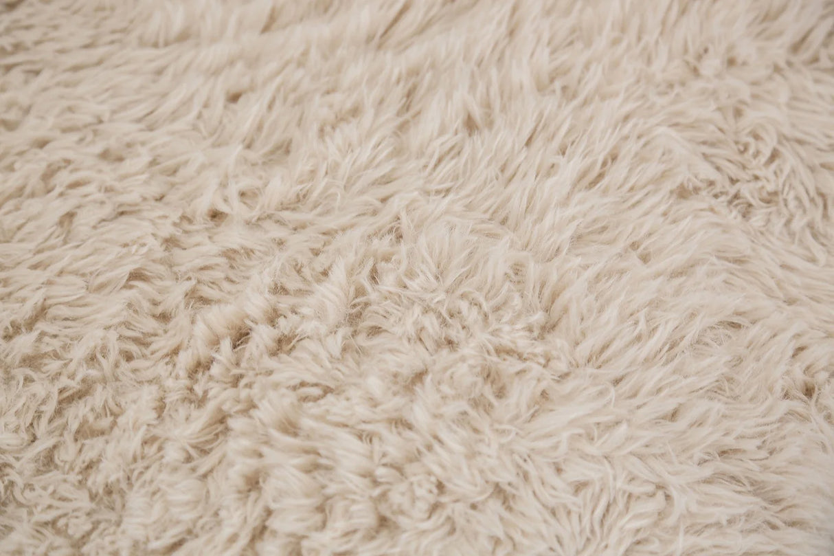 Nappi Sand Compressed Foam L-Shape Sectional by Furniture of America at Eve Furniture