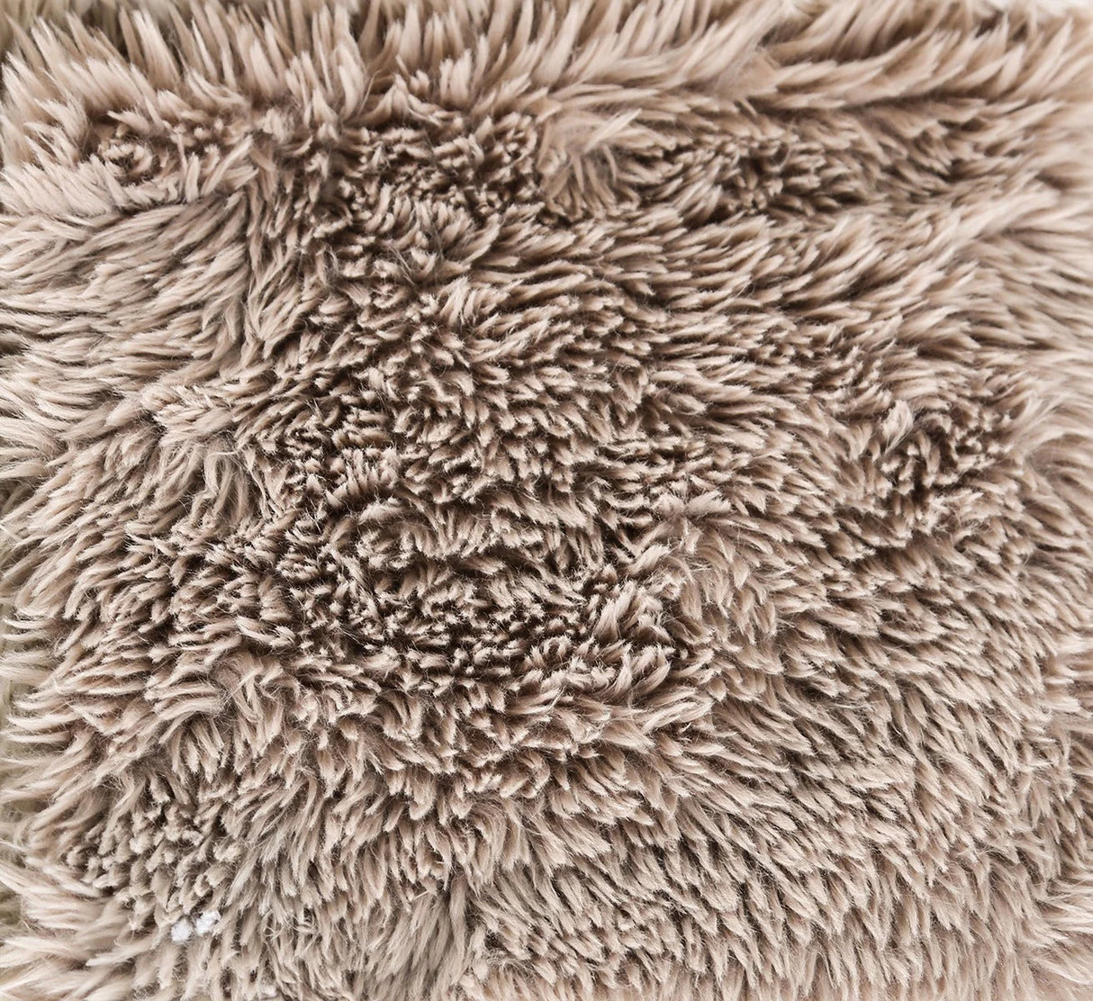 Nappi Taupe Compressed Foam Daybed by Furniture of America at Eve Furniture