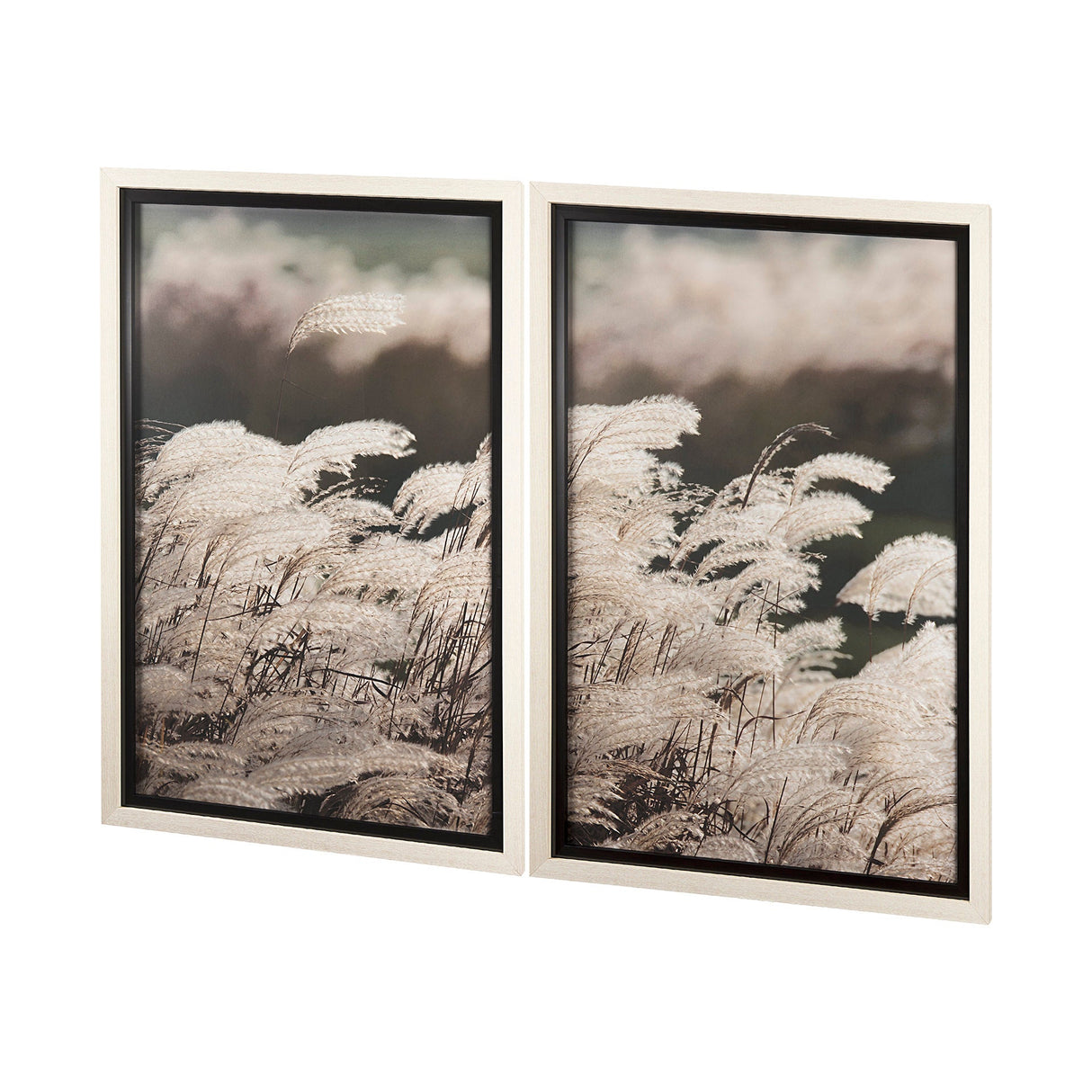 Nature's Melody by Mercana Studio a Framed Photo Art Print Matted under Glass by Mercana at Eve Furniture