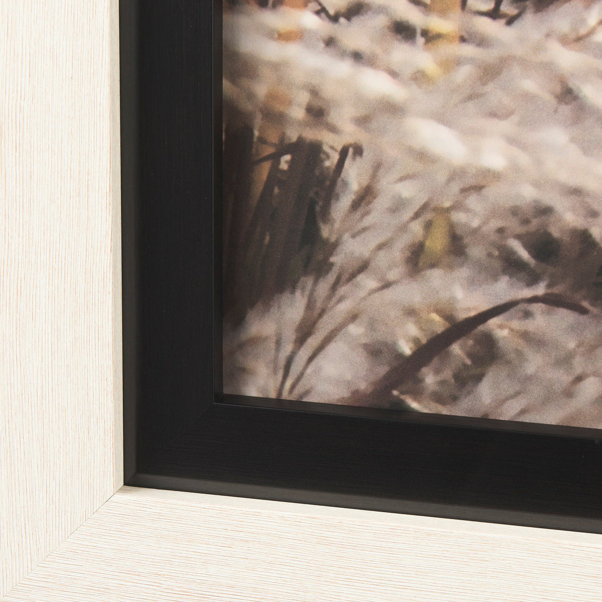 Nature's Melody by Mercana Studio a Framed Photo Art Print Matted under Glass by Mercana at Eve Furniture