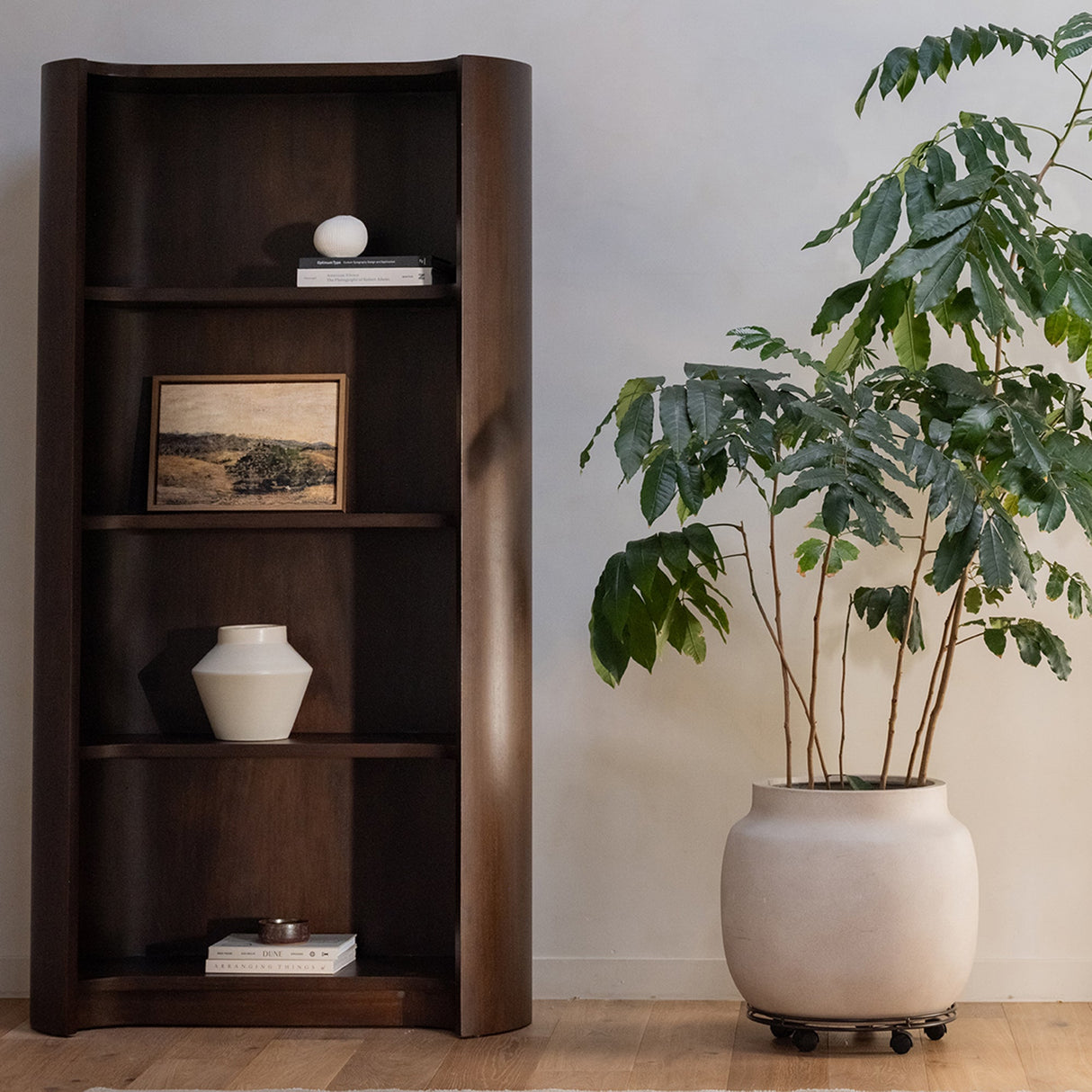 Nera Brown Bookcase by Moe's Home at Eve Furniture