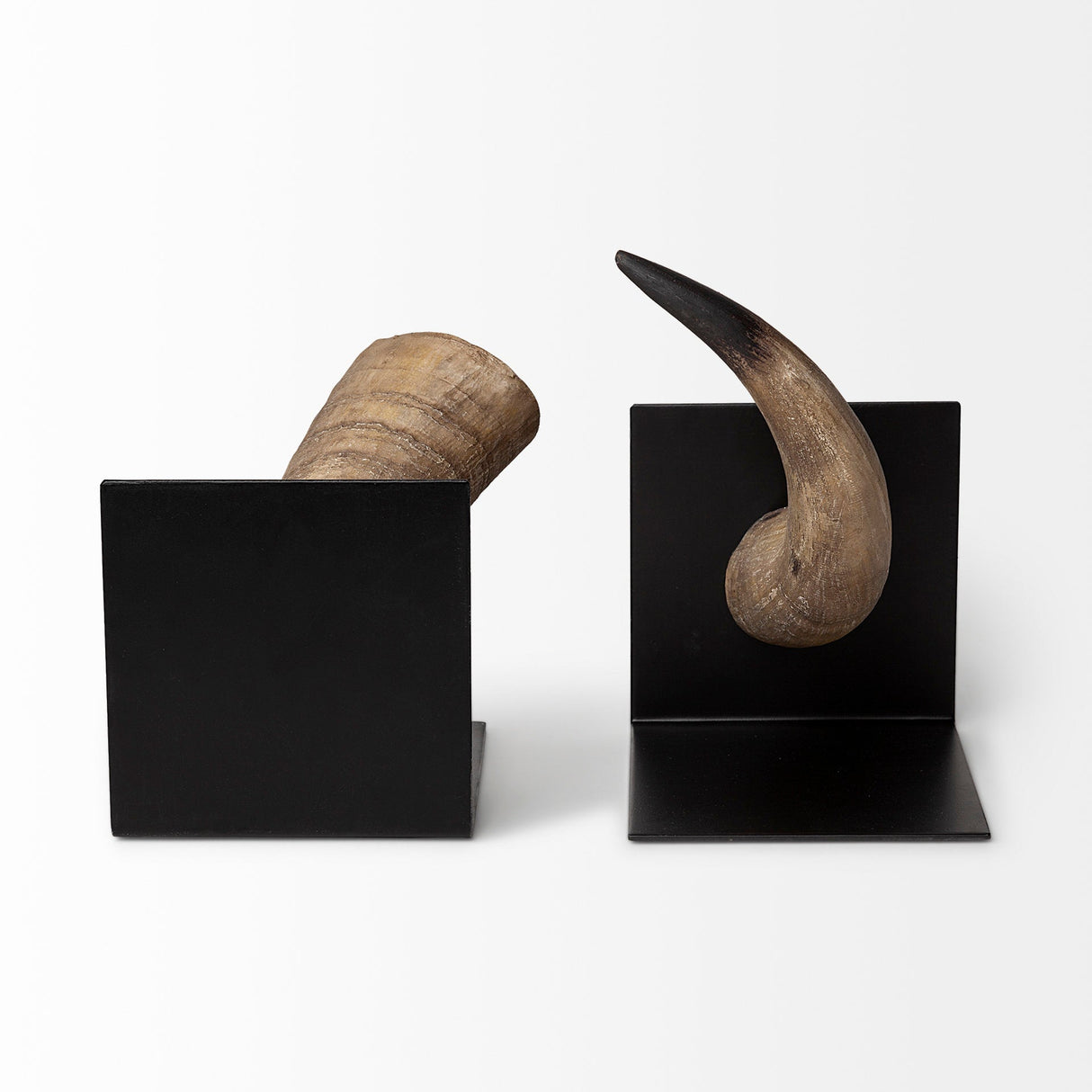Nickerson (Set of 2) 6L x 7W Bull Horn Bookends by Mercana at Eve Furniture