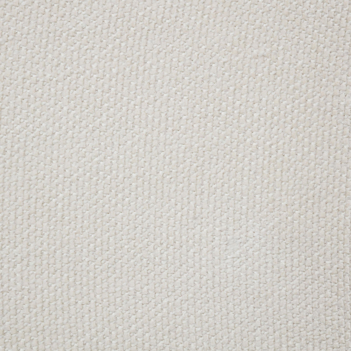 Nollet Cream 48-inch Upholstered California King Platform Bed by Coaster at Eve Furniture