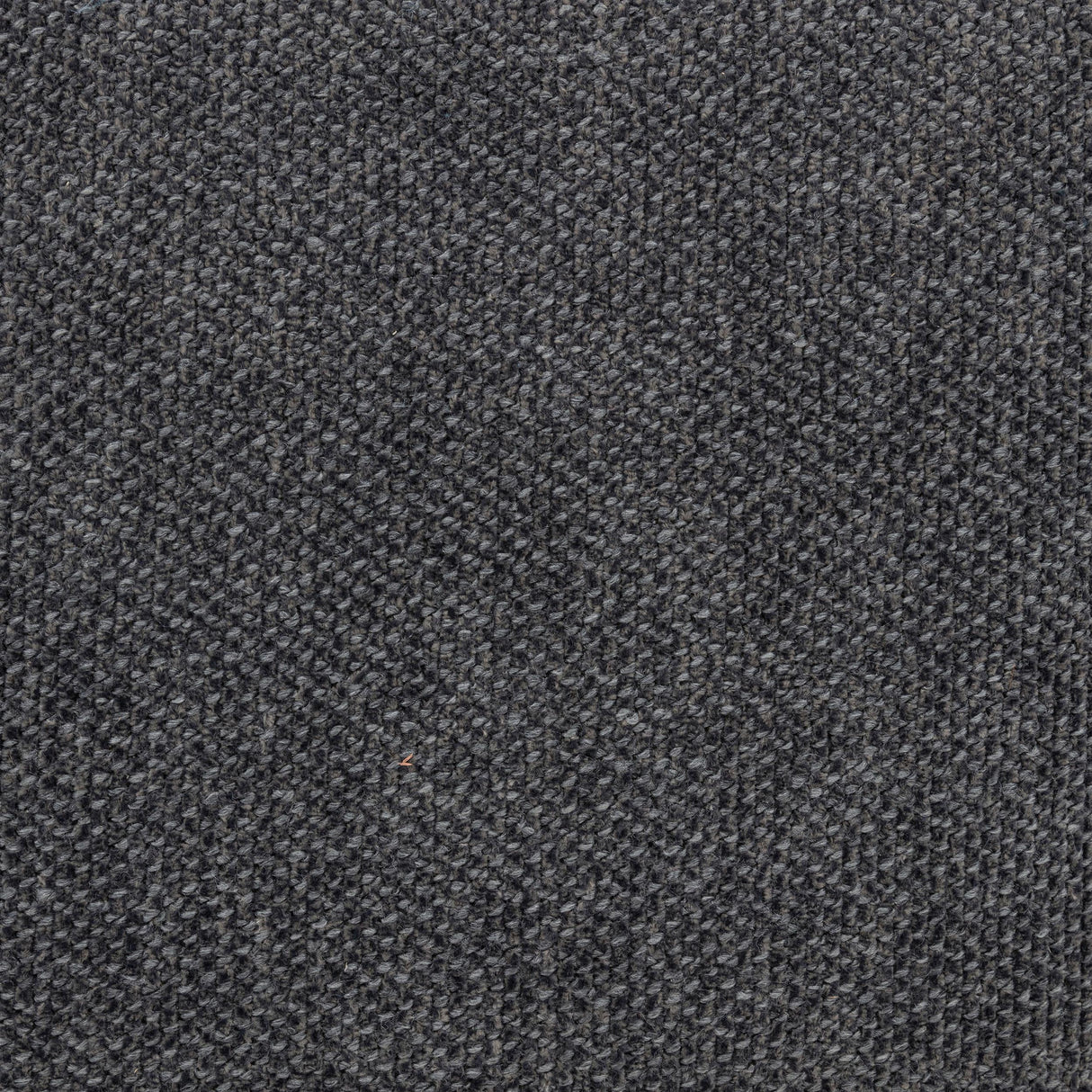 Nollet Gray 48-inch Upholstered California King Platform Bed by Coaster at Eve Furniture