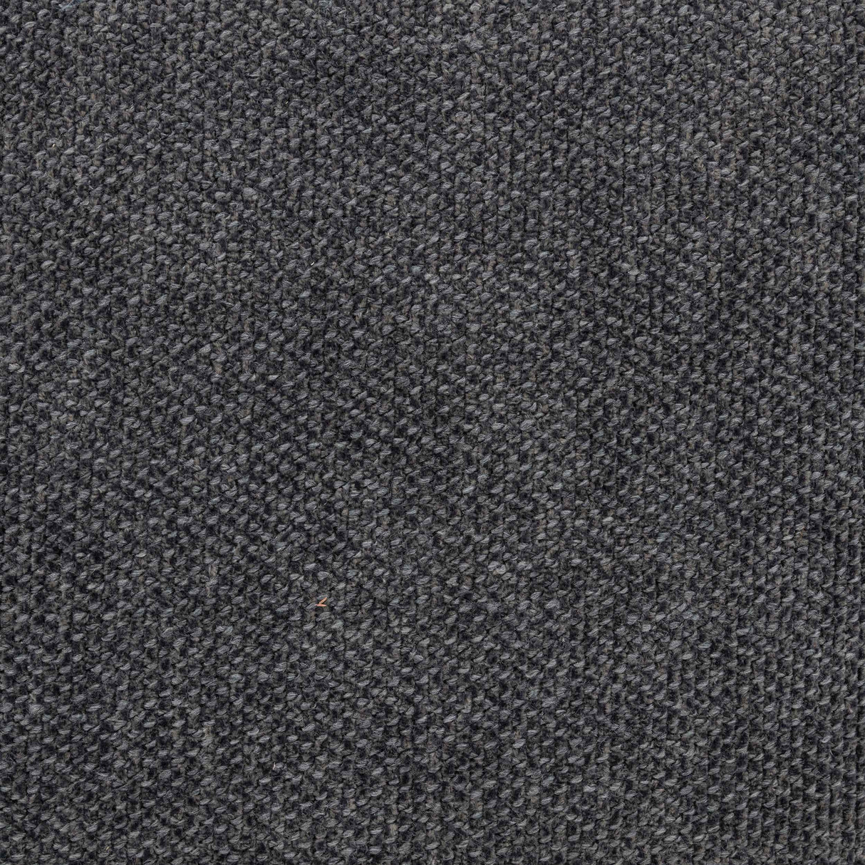Nollet Grey 48-inch Upholstered Queen Panel Platform Bed by Coaster at Eve Furniture