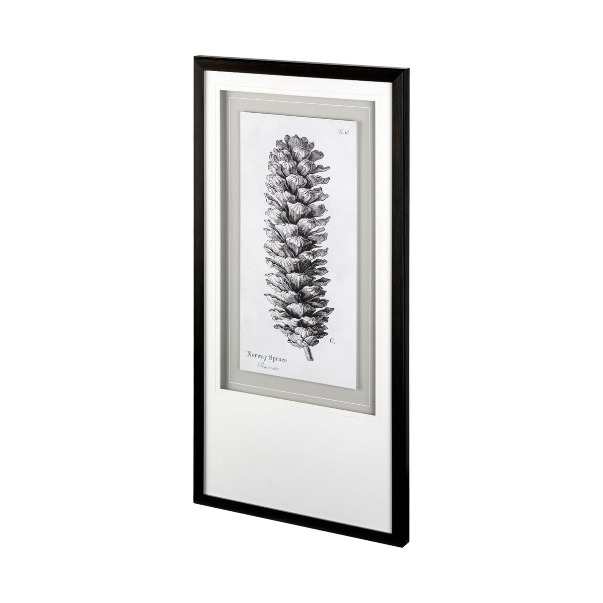 Norway Spruce by Maria Mendez a Framed Art Print Matted under Glass by Mercana at Eve Furniture