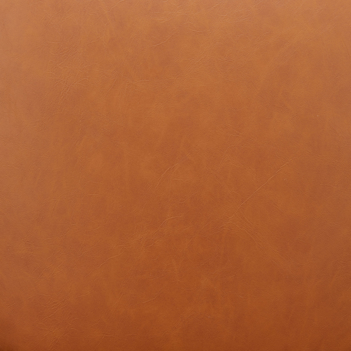 Nuby Brown Dining Chair by Zuomod at Eve Furniture