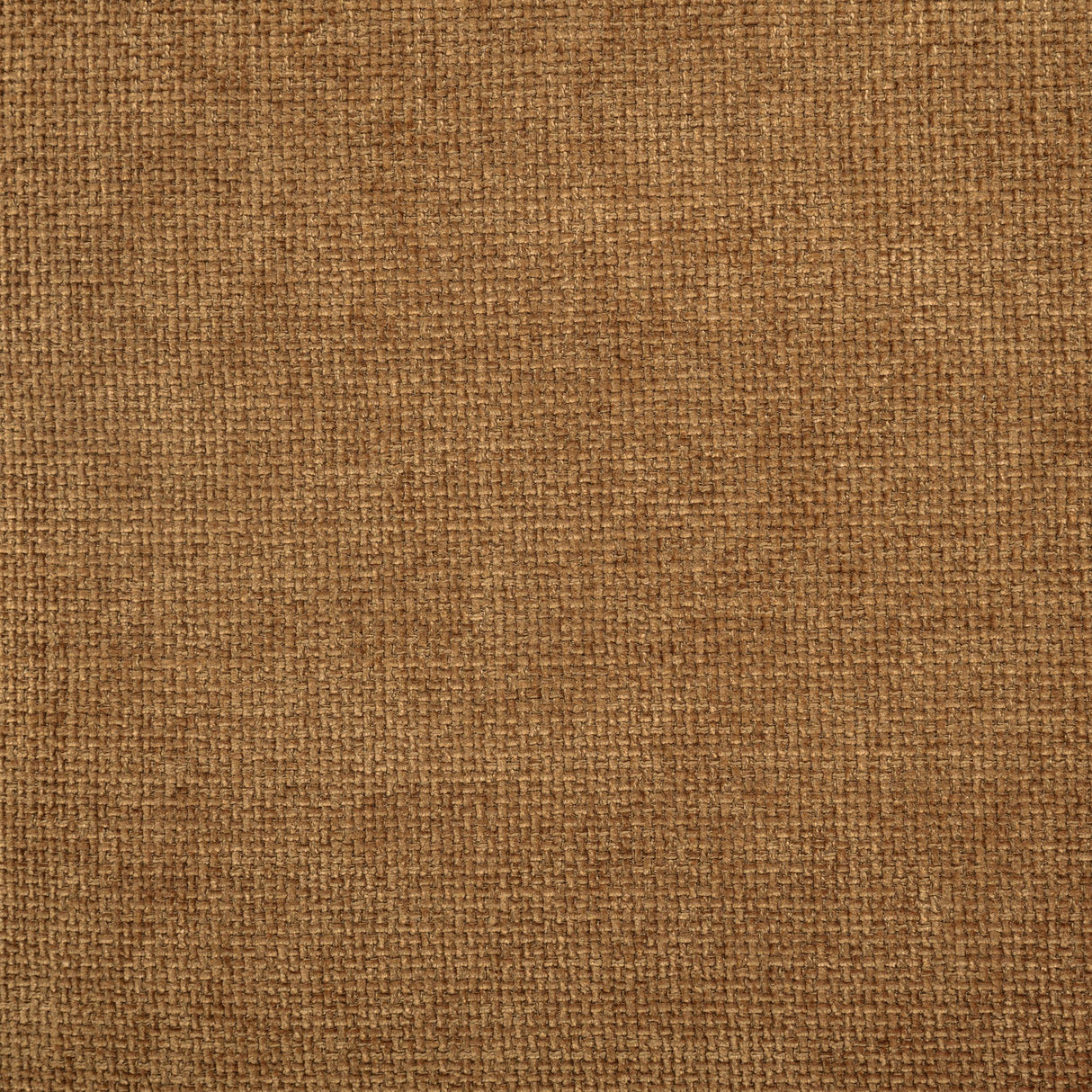 Octavia Amber Fabric Upholstered Track Arm Accent Chair by Coaster at Eve Furniture