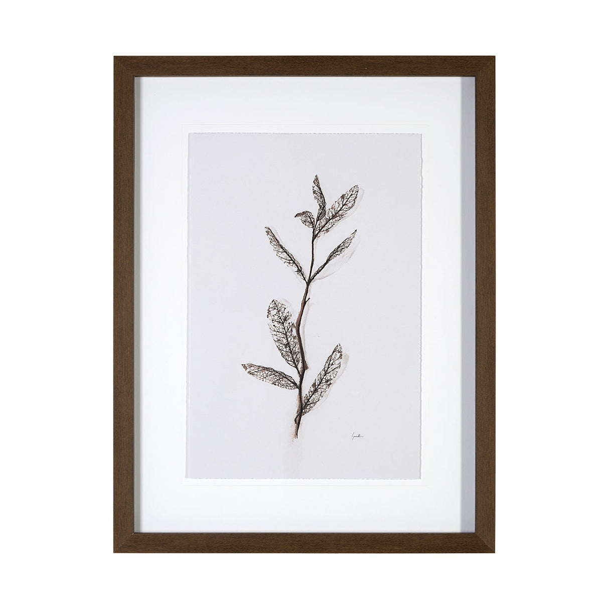Olive Branch I by Gabrielle a Framed Art Print Matted under Glass by Mercana at Eve Furniture