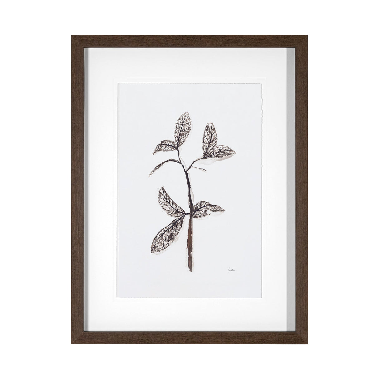 Olive Branch II by Gabrielle a Framed Art Print Matted under Glass by Mercana at Eve Furniture