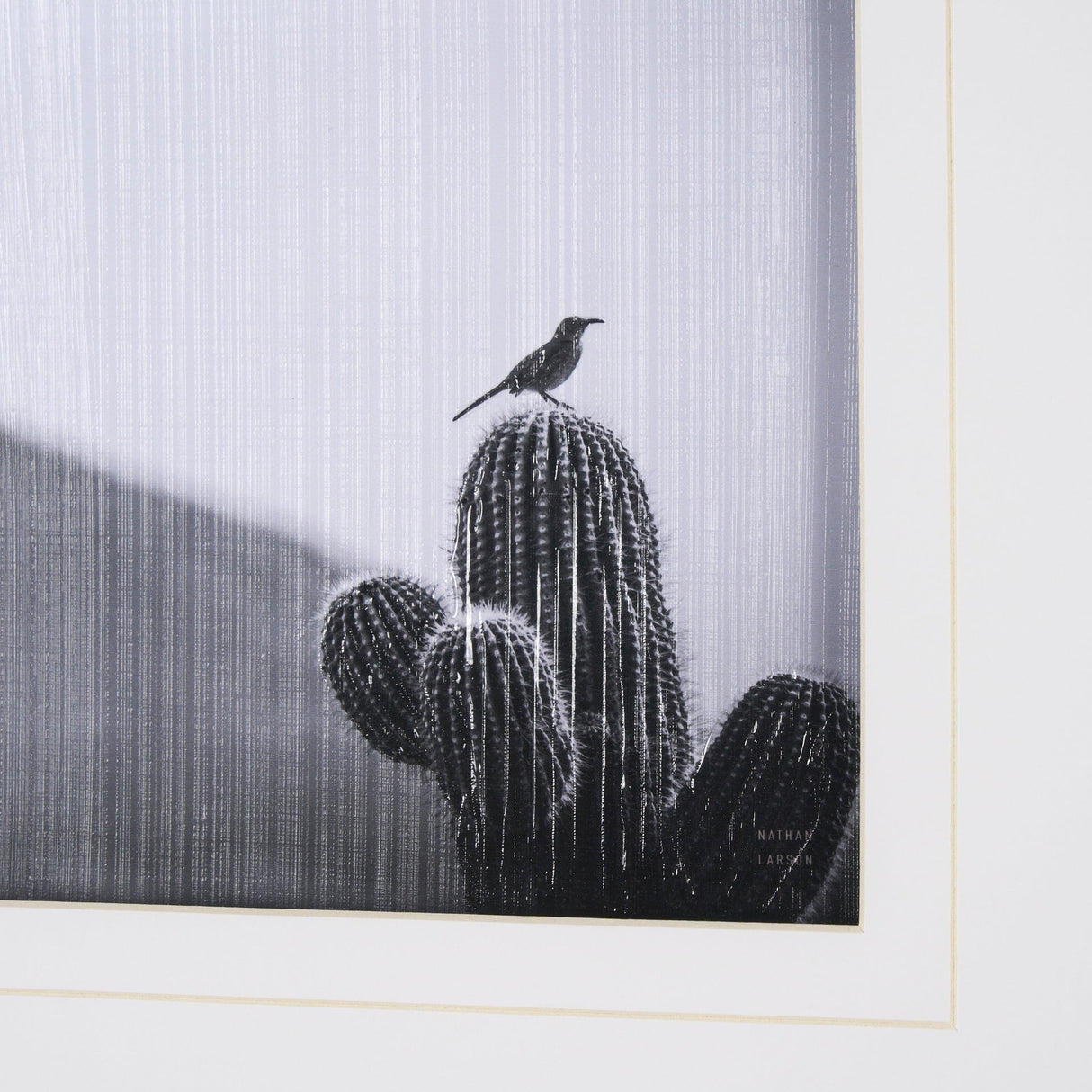 On Guard by Nathan Larson a Hand Embelished Textured Framed Photo Art Print Matted under Glass by Mercana at Eve Furniture