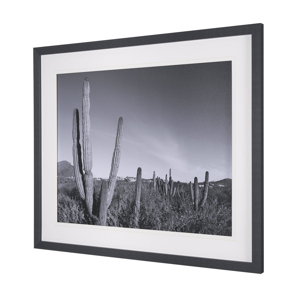 On The Ranch Cactus I by Norm Stelfox Hand Embelished Textured Framed Photo Art Print Matted under G by Mercana at Eve Furniture