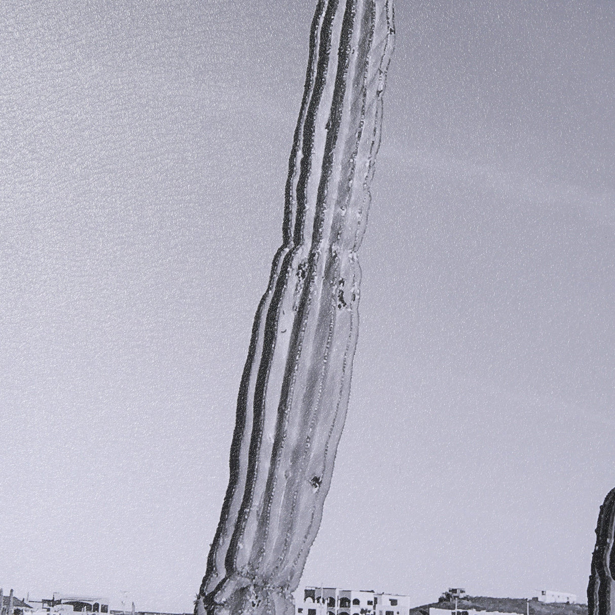 On The Ranch Cactus I by Norm Stelfox Hand Embelished Textured Framed Photo Art Print Matted under G by Mercana at Eve Furniture
