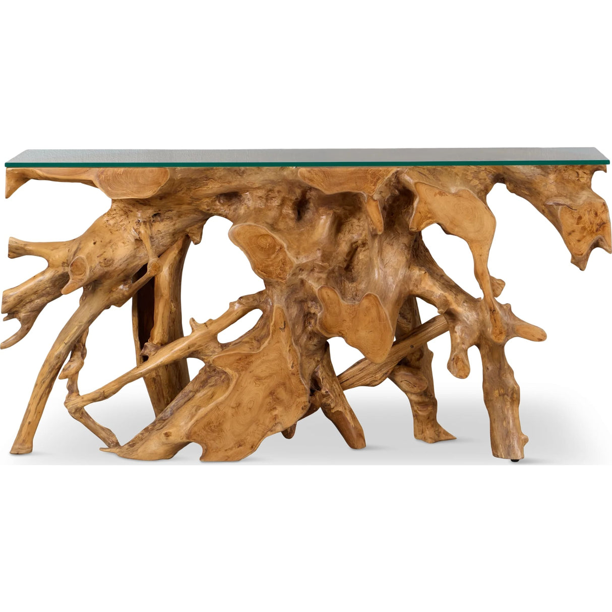 One Solid Teak Root Glass Top Console Table by Modus Furniture at Eve Furniture