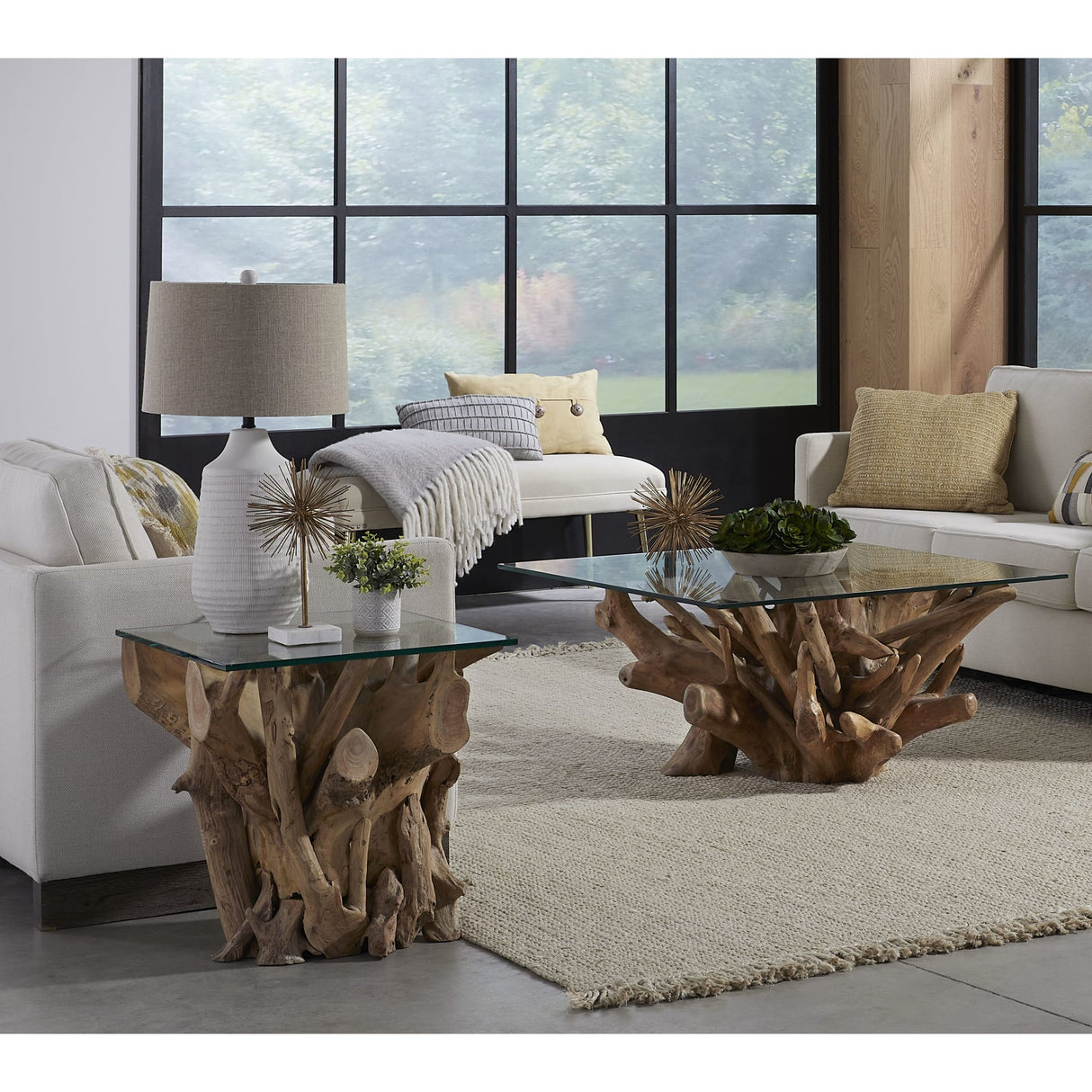 One Solid Teak Root Glass Top End Table by Modus Furniture at Eve Furniture
