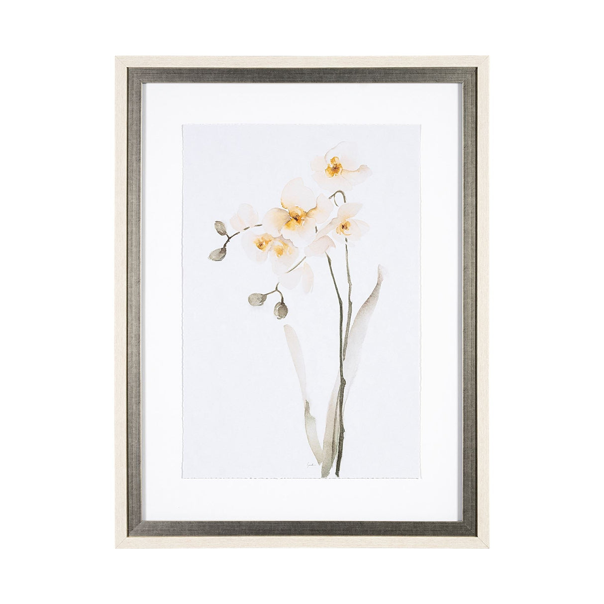 Orchid II by Gabrielle Campbell a Framed Art Print Matted under Glass by Mercana at Eve Furniture