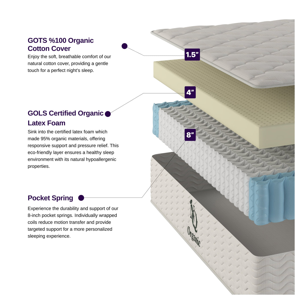 Organic Hybrid Plush Mattress by NapQueen at Eve Furniture