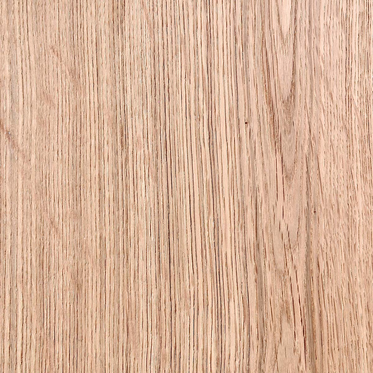 Orlando True Natural Sideboard by Classic Home at Eve Furniture