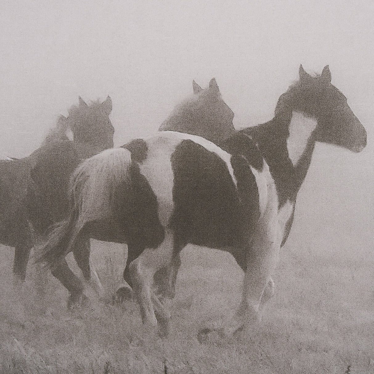 Painted Horses on the Run by Debra Van Swearingen a Hand Embellished Framed Photo Art Print Matted u by Mercana at Eve Furniture