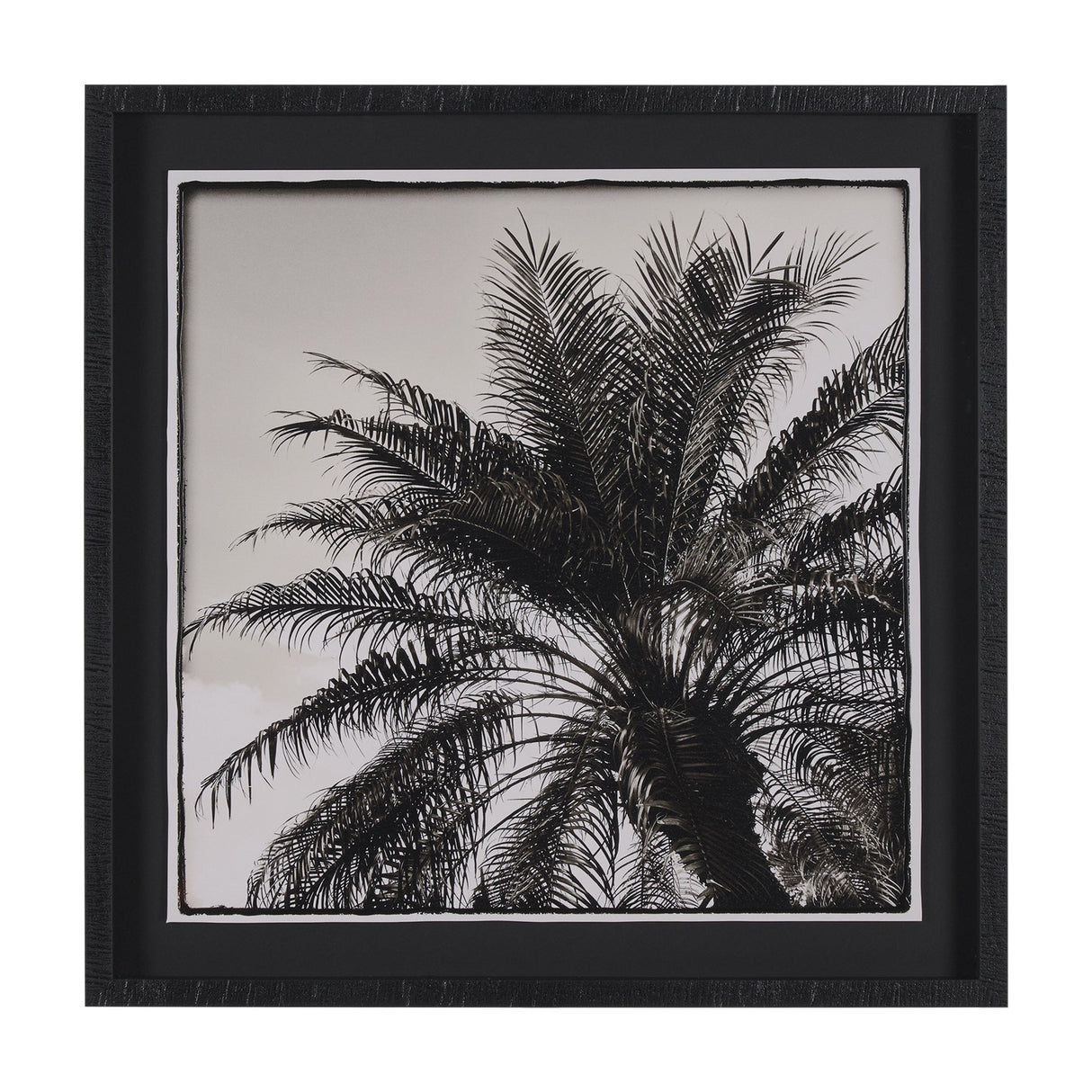 Palm Tree Sepia I by Debra Van Swearingen a Hand Embellished Framed Photo Art Print Matted under Gla by Mercana at Eve Furniture
