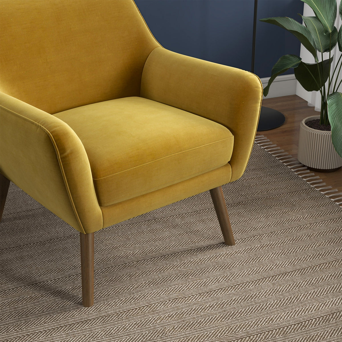 Panom Gold Velvet Lounge Chair by Ashcroft Furniture at Eve Furniture