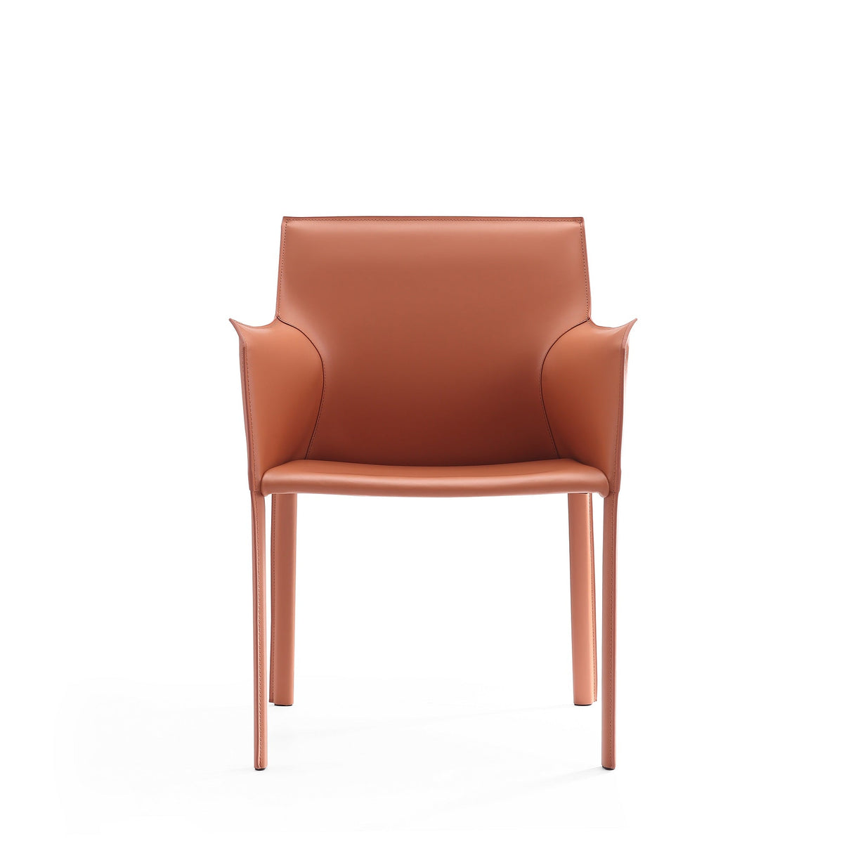 Paris Armchair in Clay (set of 2) by Manhattan Comfort at Eve Furniture