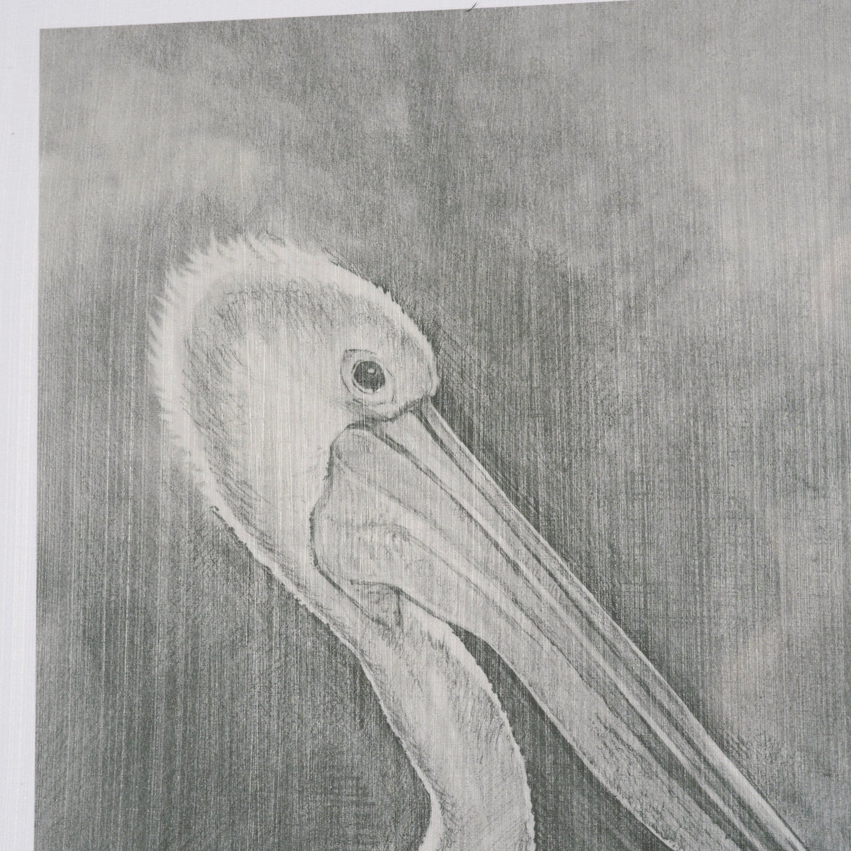 Pelican Sketch by Mercana Studio a Hand Embellished Framed Art Print Matted under Glass by Mercana at Eve Furniture