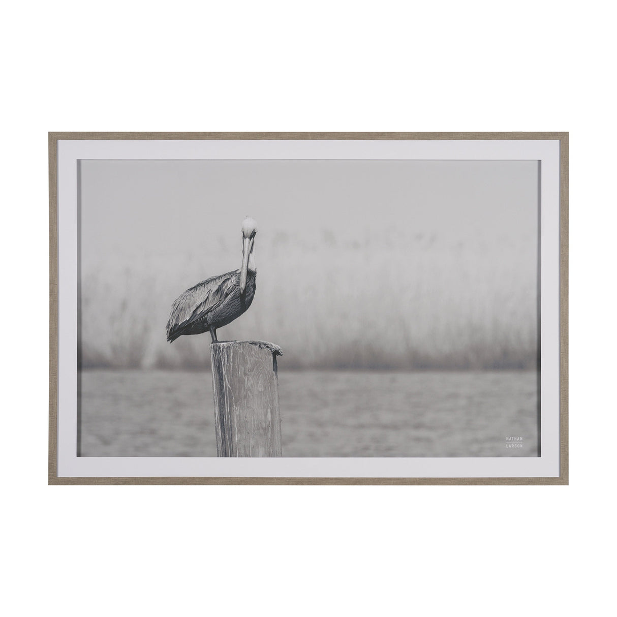 Pelican Stories by Nathan Larson Framed Art Print Matted under Glass by Mercana at Eve Furniture