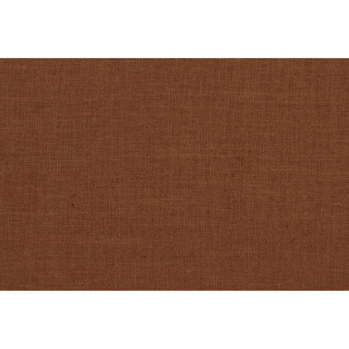 Pellicano Terracotta Sofa by Moe's Home at Eve Furniture