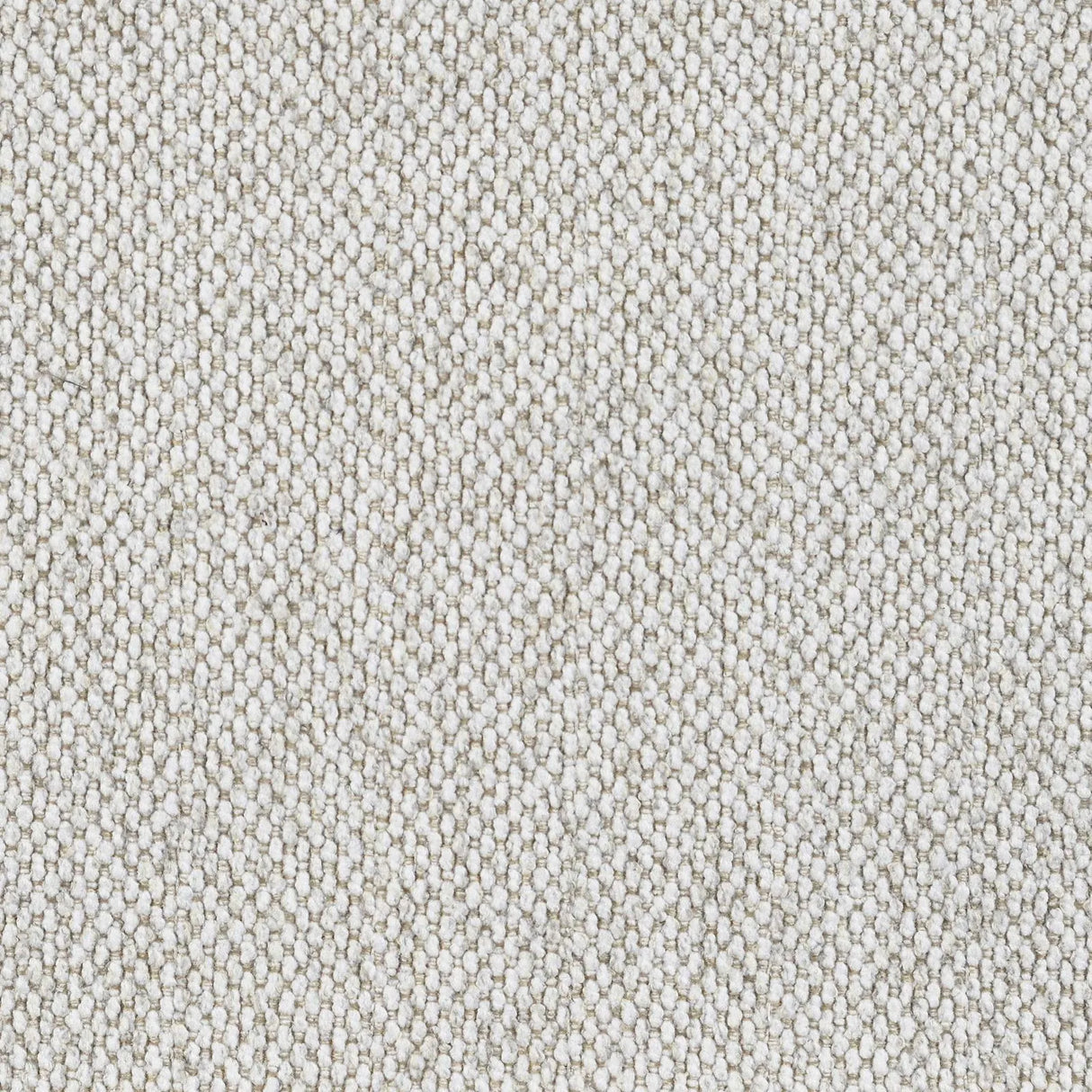 Pippin Latte Upholstered Wingback Accent Chair by Coaster at Eve Furniture