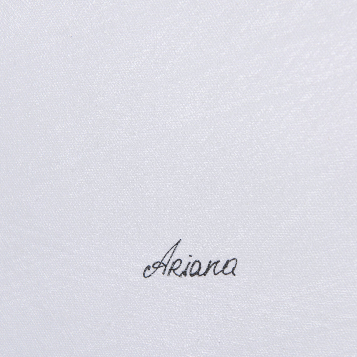 Plum Branch II by Mercana Studio a Hand Embellished Textured Canvas by Mercana at Eve Furniture