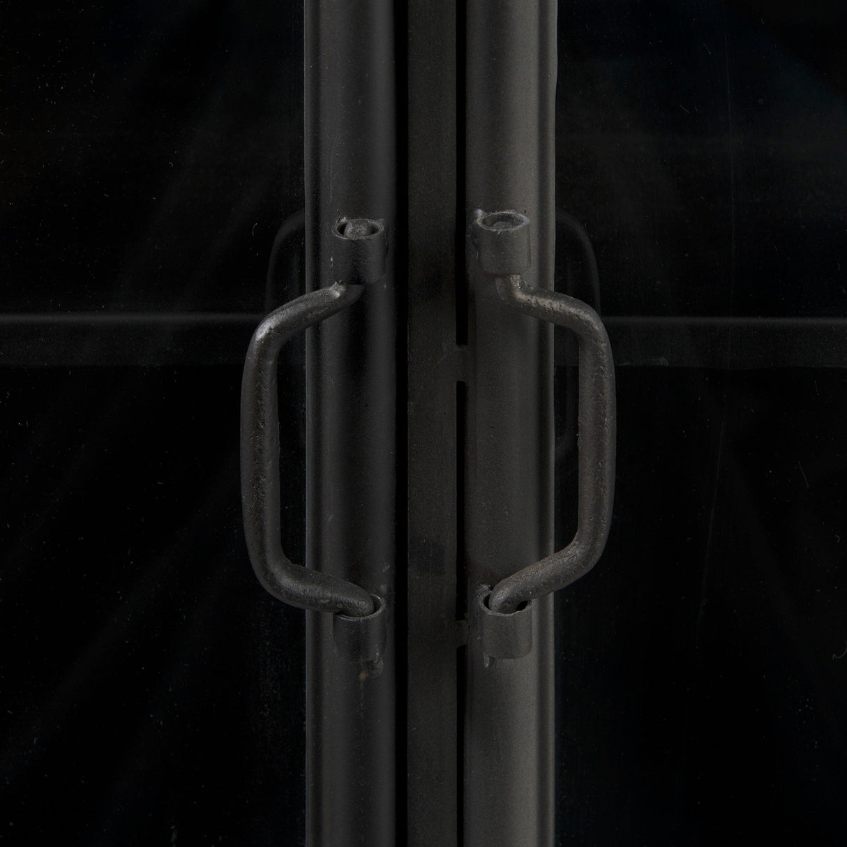 Poppy III 40L x 16W Black Metal With Glass Door Accent Cabinet by Mercana at Eve Furniture