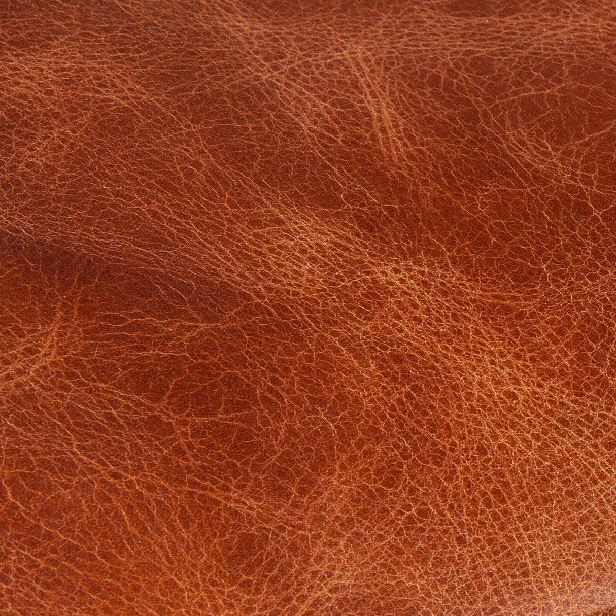 Portofino Modern 95" Sofa in Cocoa Brown Leather by Home Trends & Design at Eve Furniture