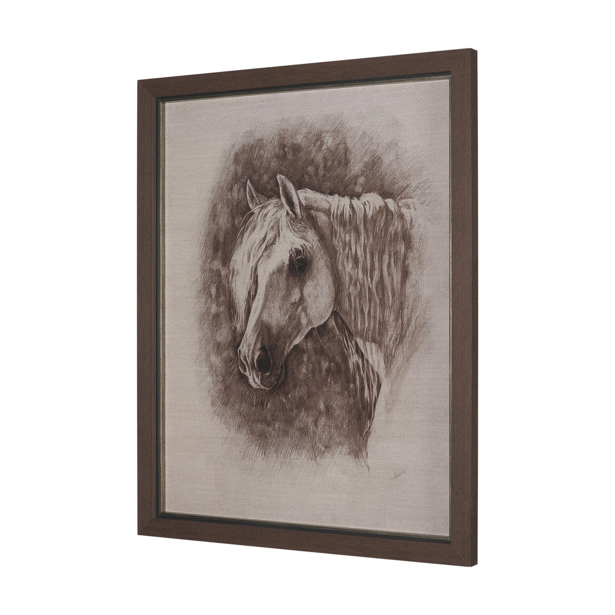 Portrait of a Thoroughbred I by Mercana Studio a Framed Art Print Matted under Glass by Mercana at Eve Furniture