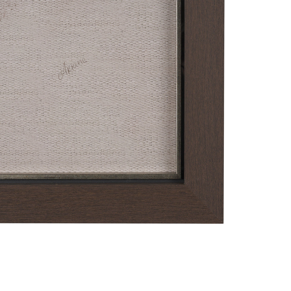 Portrait of a Thoroughbred II by Mercana Studio a Framed Art Print Matted under Glass by Mercana at Eve Furniture