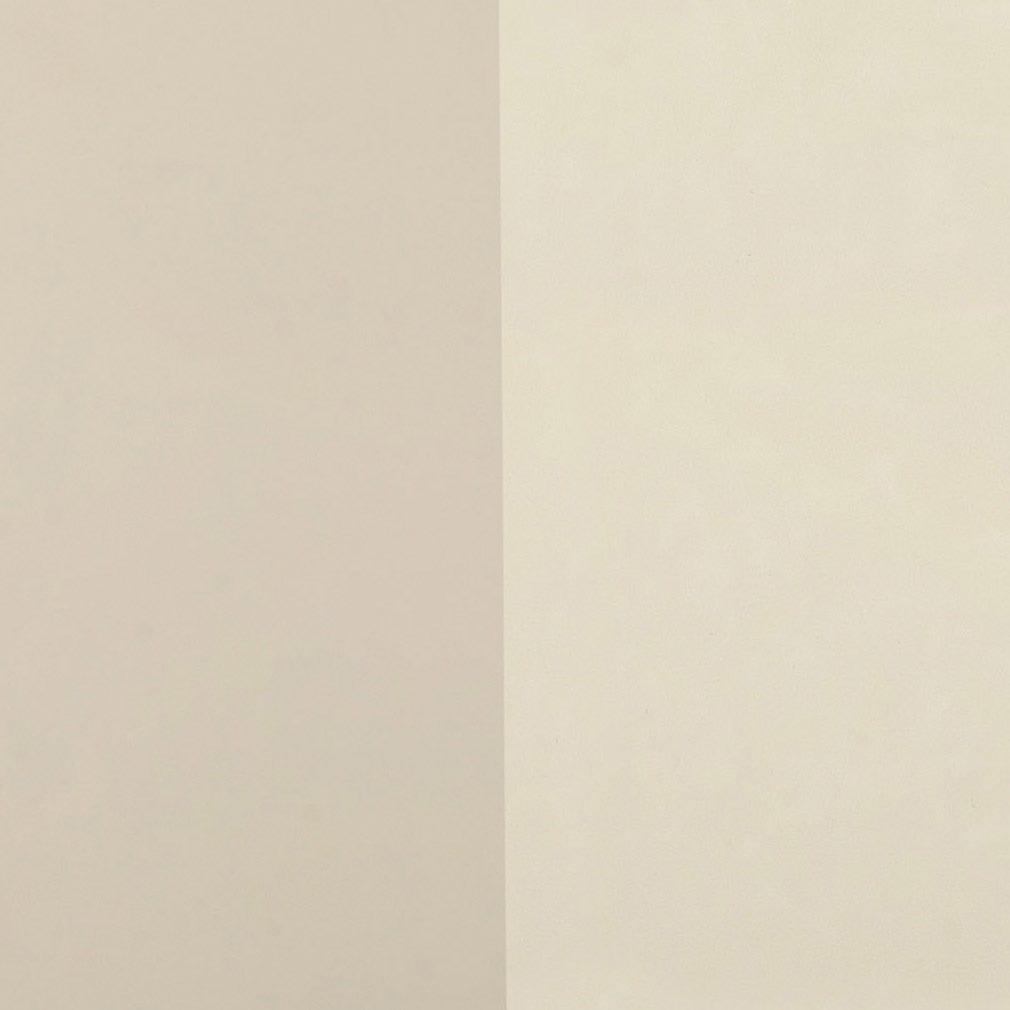 Alfalfa 2-Drawer Desk by TOV Furniture at Eve Furniture