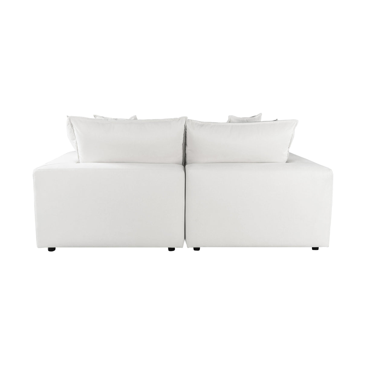 Cali Performance Fabric Modular Loveseat by TOV Furniture at Eve Furniture