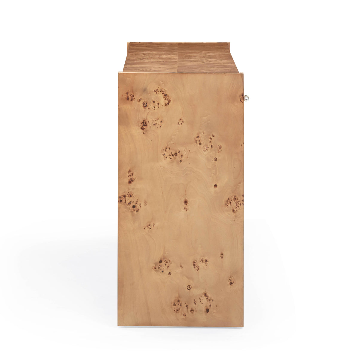 Brandyss Burl Console Table by TOV Furniture at Eve Furniture