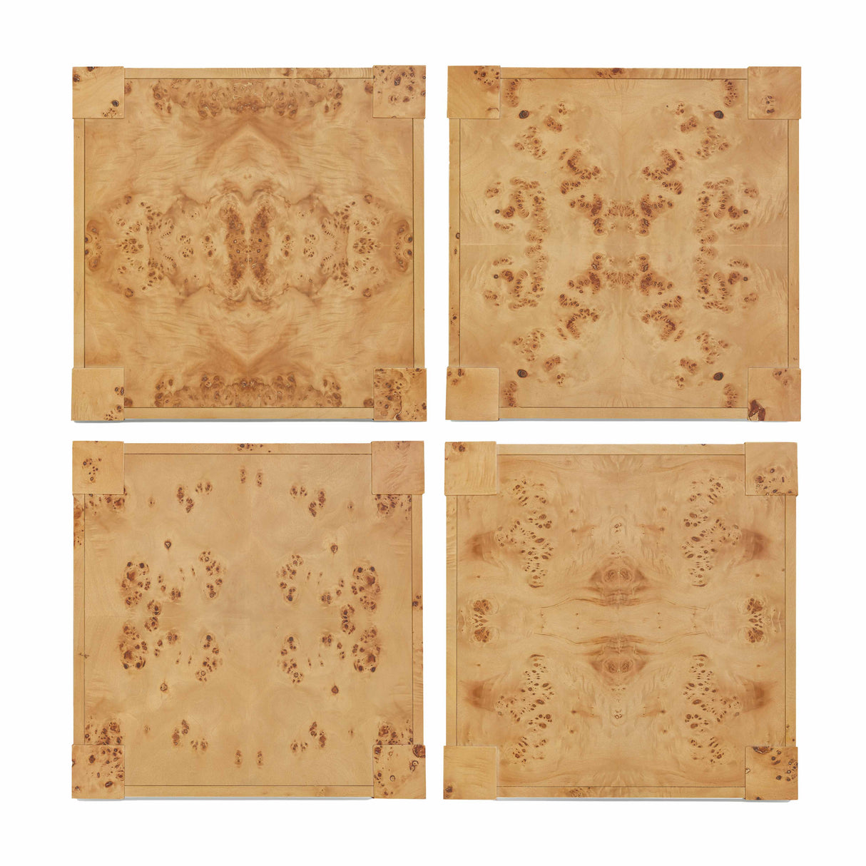 Brandyss Burl End Table by TOV Furniture at Eve Furniture