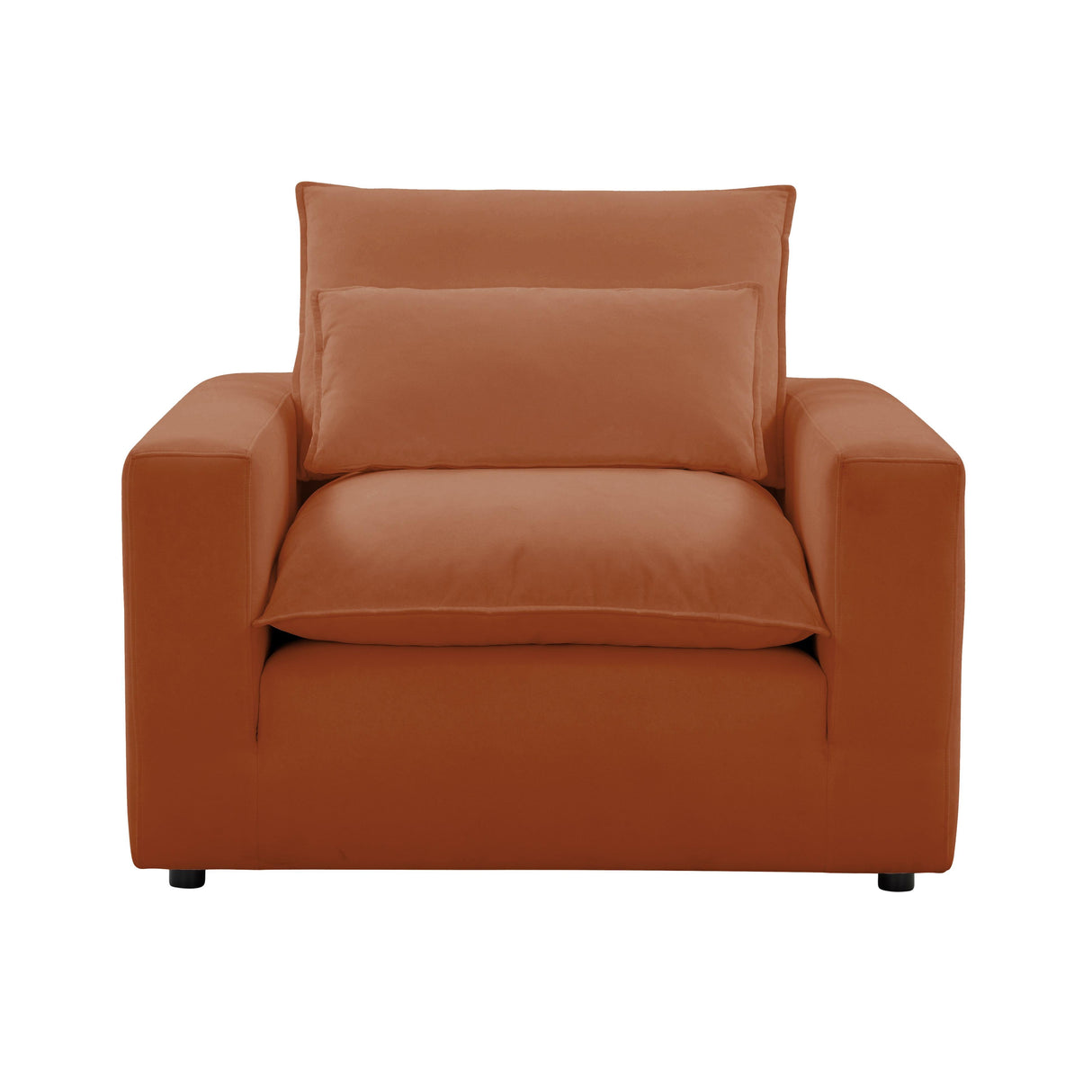 Cali Performance Fabric Armchair by TOV Furniture at Eve Furniture