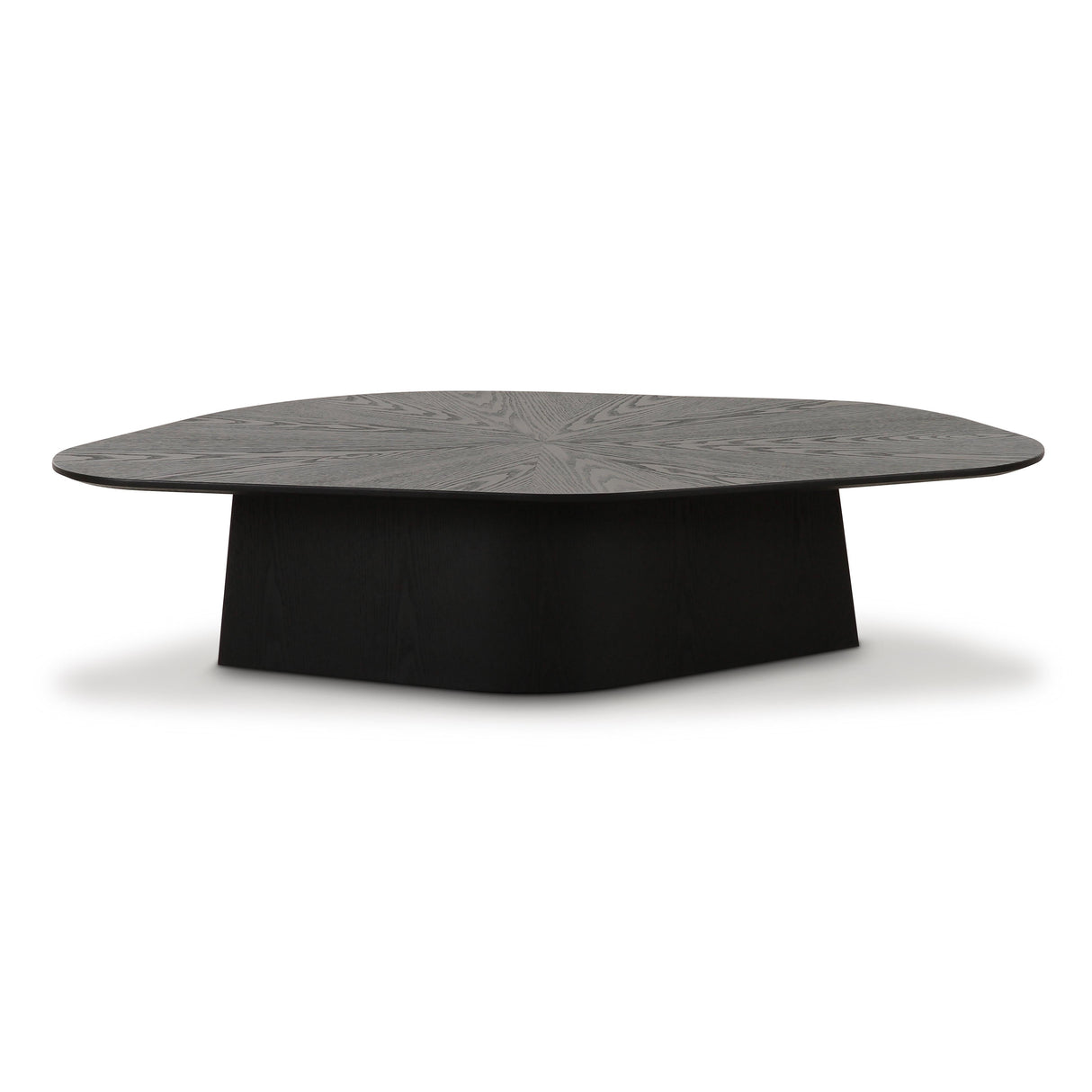Roche Ash Low Coffee Table by TOV Furniture at Eve Furniture