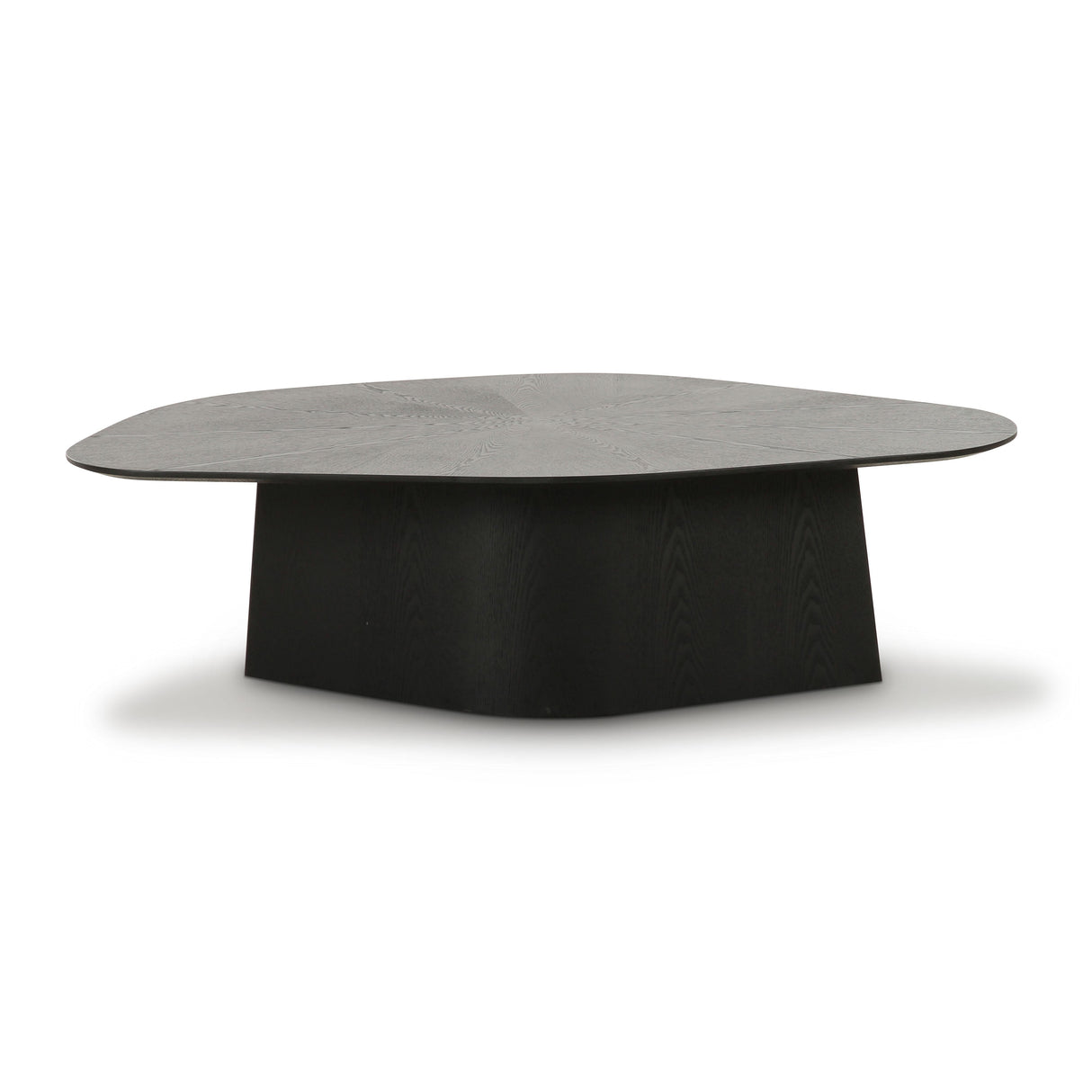 Roche Ash Geometric Coffee Table by TOV Furniture at Eve Furniture