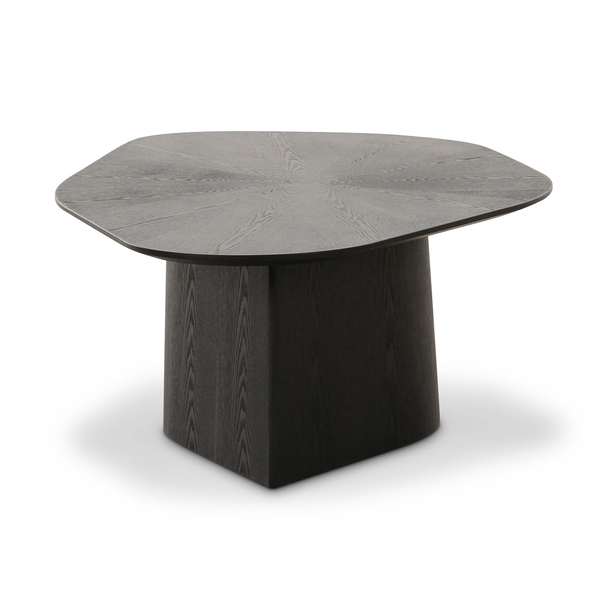 Roche Ash Geometric Coffee Table by TOV Furniture at Eve Furniture